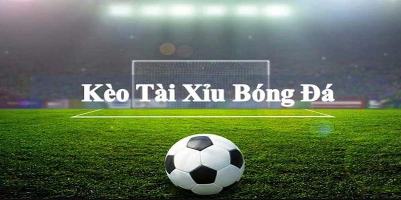 Những kiểu cách cược phổ biến hiện nay